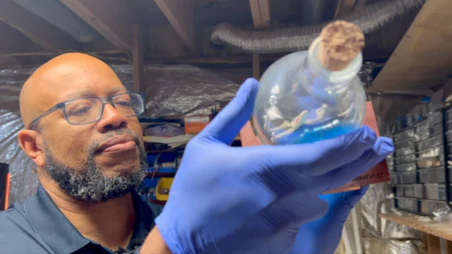 CCHobbyFun Featured on WMAR 2 ABC News