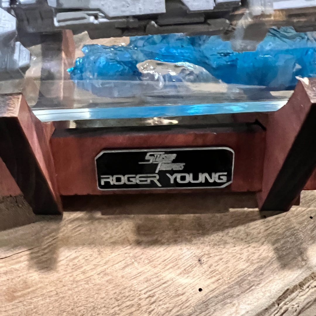 Starship Troopers Roger Young