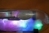 Star Trek USS Enterprise in a Wine Bottle