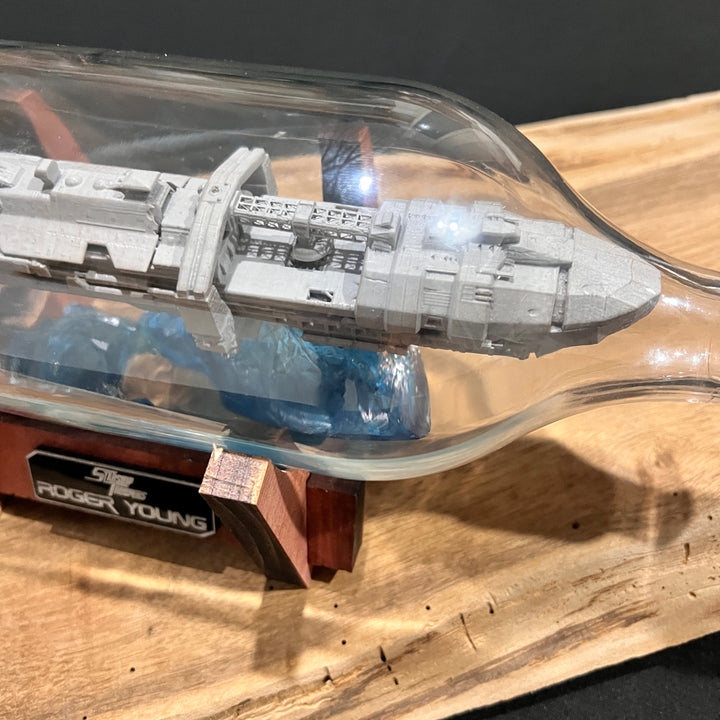 Starship Troopers Roger Young