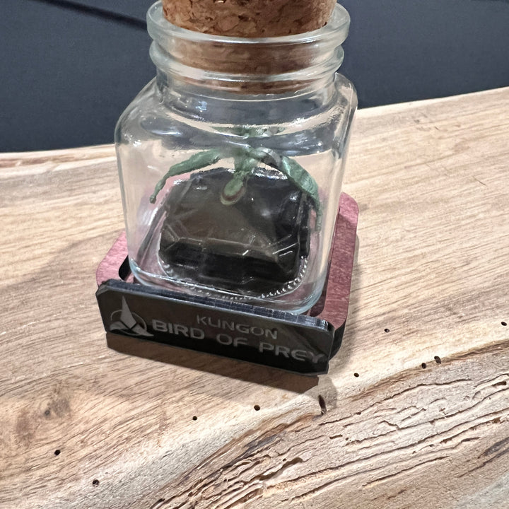 Mini Star Trek Bird of Prey  in a Bottle