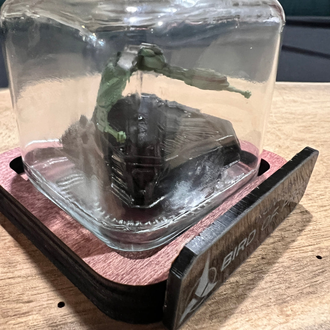 Mini Star Trek Bird of Prey  in a Bottle