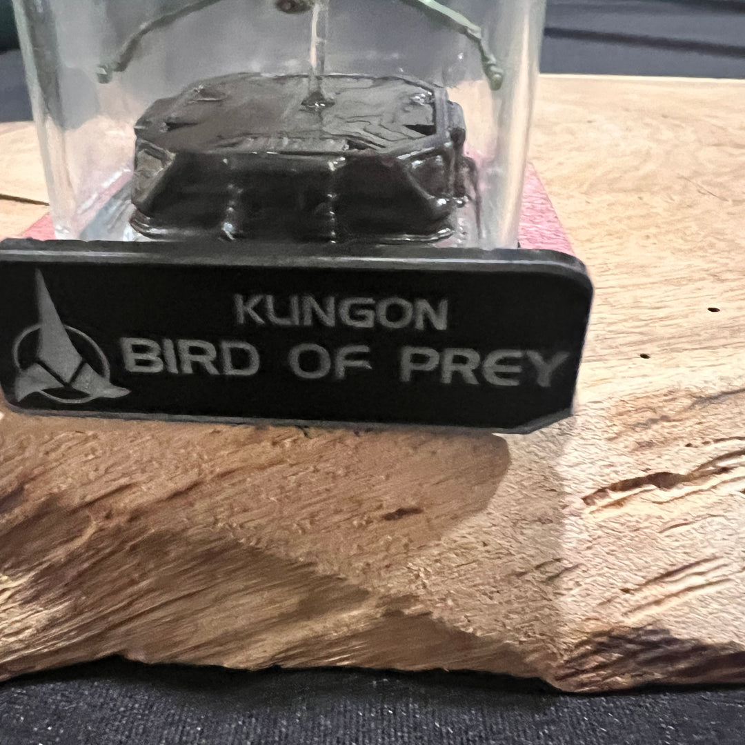 Mini Star Trek Bird of Prey  in a Bottle