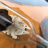 Star Wars Millennium Falcon Asteroid Chase in a Bottle