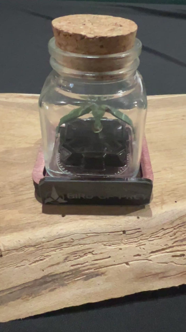 Mini Star Trek Bird of Prey  in a Bottle