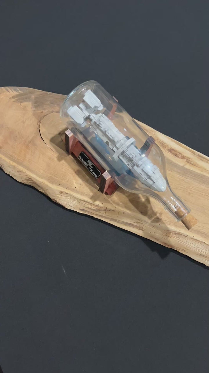 Starship Troopers Roger Young