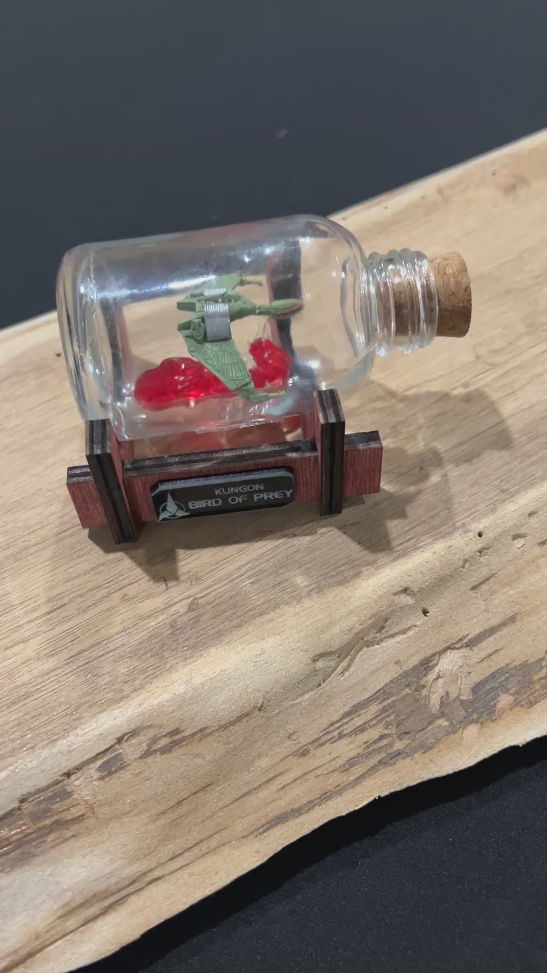 Mini Bâtiment de Guerre Klingon en Bouteille